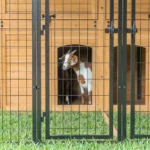Animal Enclosure XL - Image 12