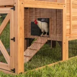 Sweetwater Chicken Coop - Brown - Image 18