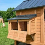 Sweetwater Chicken Coop - Brown - Image 11