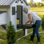 Sweetwater Chicken Coop - Image 18