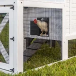 Sweetwater Chicken Coop - Image 15