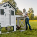 Sweetwater Chicken Coop - Image 9