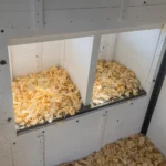 Sweetwater Chicken Coop - Image 2